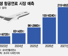 비행기 탄소 줄이는 '28조원' 시장…국내 정유사들에게도 열렸다