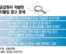 [단독]"리볼빙 용어 똑바로 써라"…금감원, 카드사 광고 손본다