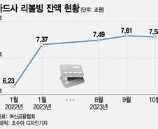 리볼빙 잔액만 7.6조···어려운 서민, 리볼빙까지 활용