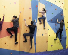 "낙법해라, 다치면 본인 책임"…실내 클라이밍 인기 줄어든 이유