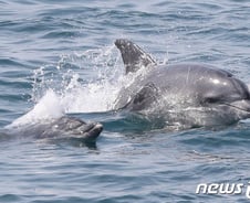 [검색폭발 이슈키워드] 생태법인