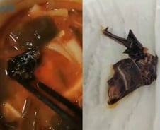 [더영상] "미역인 줄 알았는데 박쥐" 中마라탕…무단횡단 후 "신고" 적반하장