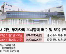 중학개미 몰려간 '中 의약계의 화웨이'… V자 반등 이어질까