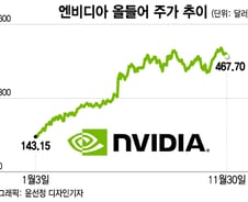 증시 호황인데 횡보하는 엔비디아…다시 상승할까[오미주]