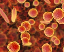 中서 폐렴 난리인데 韓은 '손 씻어라'…"대혼란 올 것" 의료계 경고