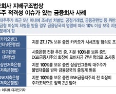 [단독]"카카오에 영향주나"...복잡해진 BNK 대주주 적격성심사