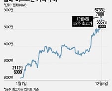 연말 비트코인 불장에 두나무 주가도 '방긋'… 빗썸은 '무표정'?