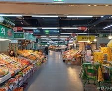 [르포]귤 만지다 돌아서고…사과 한 알 쪼개먹고…과일 앞 한숨