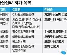 해 넘기는 국산신약 37호 허가…업계 "시기보단 시장성이 중요"