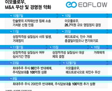 "무리한 투자였다" 지분 반토막 난 이오플로우 창업자의 후회