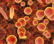 "폐렴 관련주" 개미 몰리며 주가 뛴 바이오…실상은 만년 적자