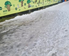 [르포]"눈 뿌려도 녹아" 스키장 당황…12월에 비 맞고 스키 탄다