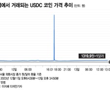 1달러가 3500원?…'김치 프리미엄' 붙은 스테이블 코인 주의보