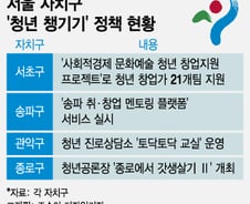 일자리·창업·진로..'청년 챙기기' 나선 서울 구청들[시티+줌(zoom)