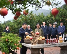 중국의 청년실업 대책, 시골에 보내기[PADO]
