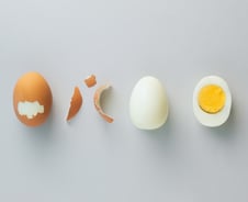 면역력 키우는데 최고인데…식중독균 득실? 오해받는 '이 식품'