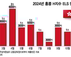 [단독]홍콩 ELS 배상안 내년 3~4월 나올듯.. '투자자 책임' 관건
