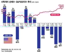 테슬라 250달러 넘자 1억달러 순매도…급락한 화이자는 '줍줍'[서학픽]