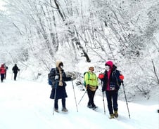 "추운데 짐 든든히 챙기자" 해돋이 산행 이랬다간…'이것' 조심하세요