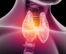 "갑상선 결절, 양성이라는데 괜찮겠지"…이 생각 위험한 이유