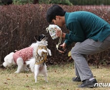 반려동물행동지도사 신설…모든 동물병원 진료비 게시 의무