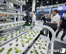 스마트농업육성법 내년 시행…친환경 농산물 농약 검출 완화