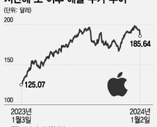 애플, 늘어나는 '매도' 및 '보유' 의견…성장 없는 주가 상승 한계[오미주]