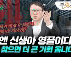 "2억 싸지는데, 못기다려요?…올해 제발 집 사지 마세요"[부릿지]