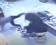 "김치 안 먹어?" 머리를 '퍽'…4살 아이는 무릎 꿇고 주워 담았다[뉴스속오늘]