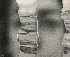 [작가와의 대화] 아다니아 쉬블리: 팔레스타인에서, 트라우마와 안일한 언어에 관하여 [PADO]