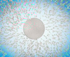 "자연임신 힘들어" 이상민, '멈춘' 정자에 충격…정자 질 높이려면