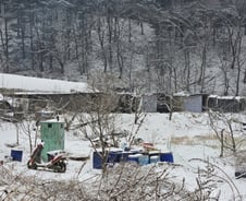 "개 농장에 10억 투자했는데"…개 식용 금지에 '패닉'[르포]