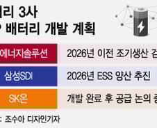 中 '저가 헤게모니' 무너뜨리려는 K-배터리…LFP도 업그레이드