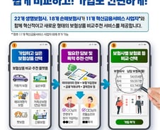 [단독]네·카·토 등 7개사, 보험비교 車보험 19일부터 개시