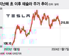 테슬라의 불길한 주가 하락… 위기냐 기회냐[오미주]
