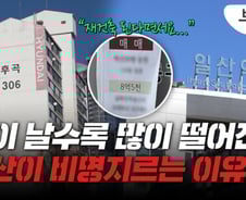 "치솟았던 집값 다 토해내"…일산 집주인들 '악' 소리[부릿지]