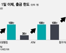[단독]'1일 30만원' 신규계좌 이체한도, 8년만에 100만원으로 올린다
