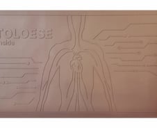 40세부터 줄어드는 '항노화' 산화질소, "톨레스 쐬면 몸속 생성"