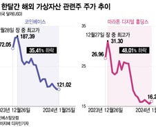 서학개미 1800억 샀는데… 코인 약세에 가파르게 빠진 미국 종목