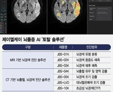 제이엘케이, 국제뇌졸중콘퍼런스 참가…'메디허브 스트로크' 해외 진출 속도