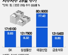 코리아 디스카운트 해소에 떠오르는 이 종목 "다시 보자, 만년 가치주"