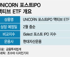 [단독]IPO '따따블' 열기 속…현대자산운용, 국내 첫 포스트IPO ETF 낸다