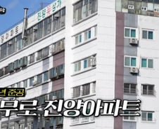 서울 한복판 고급아파트의 추락…50년 넘어도 손 못 대는 이유[부릿지]