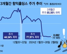 "한국인 몰려가 샀더니 대폭락"…리딩방서 찍은 홍콩 주식 또 있었다