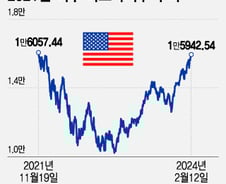 지금 美증시, 강세장 초입 1995년 vs 버블 붕괴 직전 1999년[오미주]