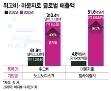'위고비·마운자로', 출시도 안된 韓서 ETF까지…올해도 고공행진 예고