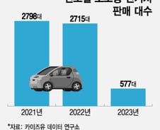 '초소형 전기차' 수요도 보조금도 줄었다…"동남아 진출 꿈인데"