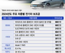 현대차·기아에 유리한 보조금? 전세계가 "우리 기업 먼저"