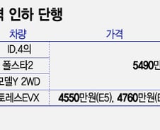"유럽보다 1000만원 싸네"…한국서 가격 내리는 수입 전기차