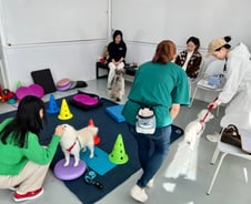 "댕댕이가 필라테스를"..반려동물 서울 특별구 어디[시티+줌(zoom)]